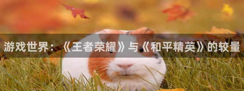 手机高德娱乐下载安装：游戏世界：《王者荣耀》与《和平精英》的