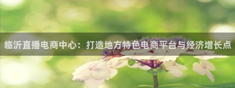 篮球雨燕直播：临沂直播电商中心：打造地方特色电商平台与经济增长点