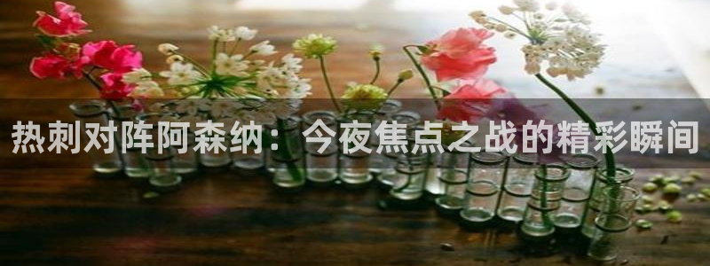雨燕在线直播篮球：热刺对阵阿森纳：今夜焦点之战的精彩瞬间