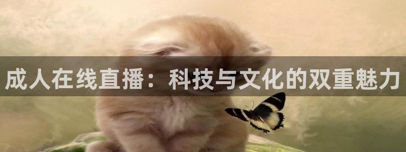 nba雨燕体育