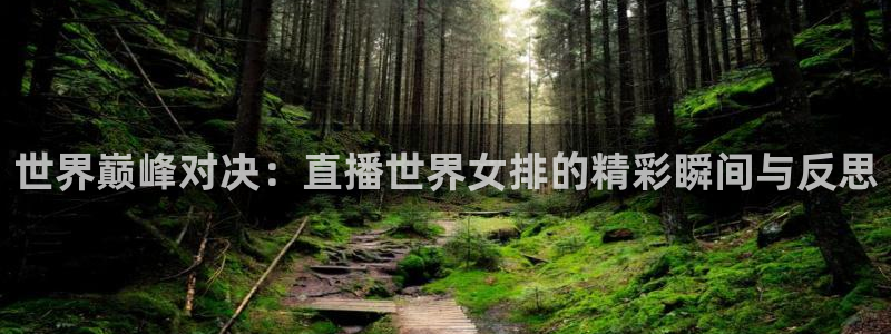 雨燕360体育直播篮球直播：世界巅峰对决：直播世界女排的精彩瞬间与反思