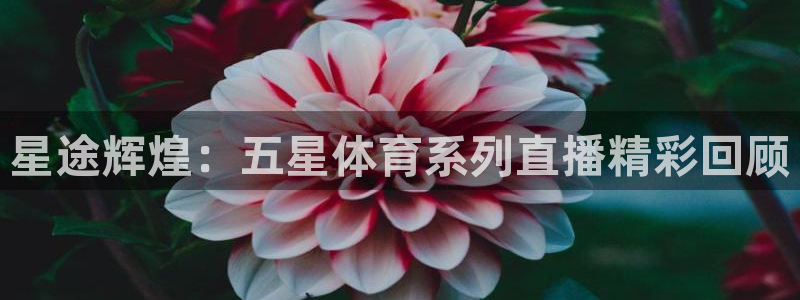 nba直播在线直播雨燕直播：星途辉煌：五星体育系列直播精彩回顾