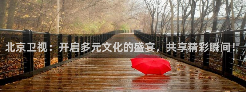nba直播雨燕在线观看：北京卫视：开启多元文化的盛宴，共享精彩瞬间！